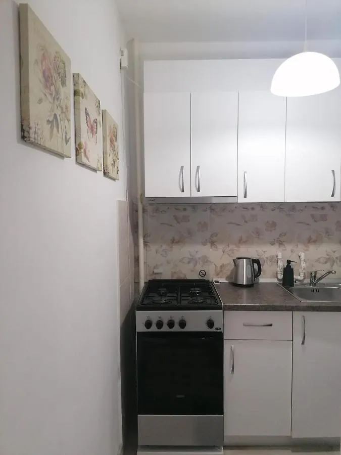 Laroka House Cosy And Modern Apartment Universitate-City Centre Bucureşti